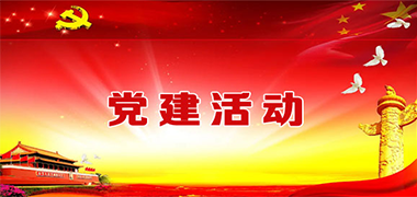 黨建活動